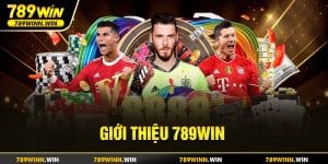 Giới thiệu 789win - nhà cái cá cược uy tín hàng đầu Châu Á