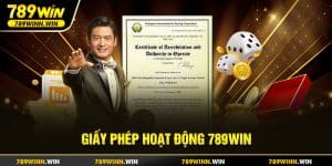 Giấy phép hoạt động 789WIN minh bạch, rõ ràng